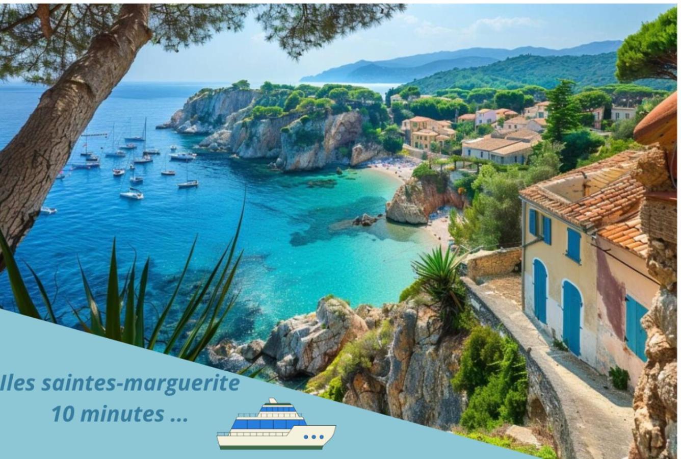 Appartamento F3 Notre-Dame , Hypercentre A 2 Minute Du Palais Des Congres Cannes Esterno foto